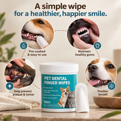 In-Between Baths Dog Grooming Kit