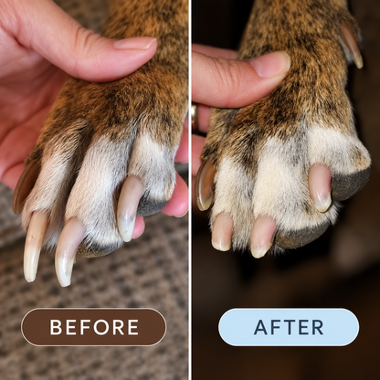 NailSight 2-in-1 Dog Nail Grinder | See the Quick, Even on Dark Nails